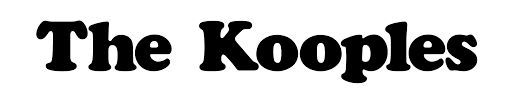 Negozi The Kooples